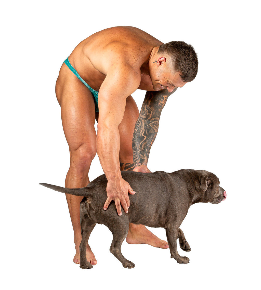 Pro Olympian Posing Trunks - Sage Velvet